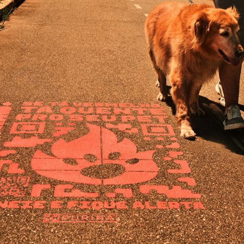 Purina quer prevenir queimaduras