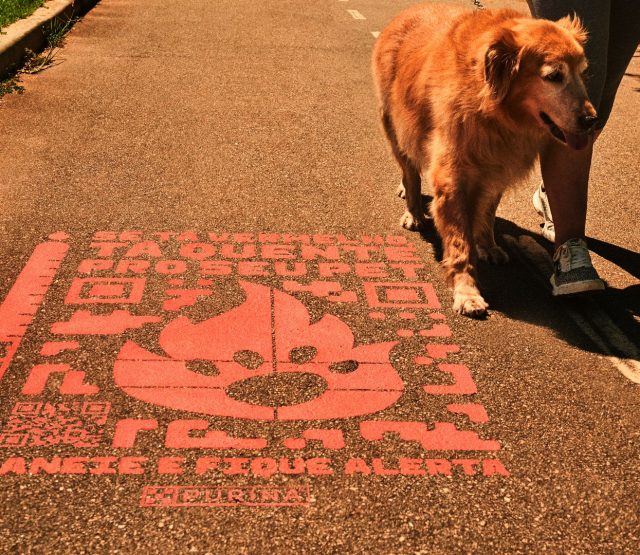 Purina quer prevenir queimaduras