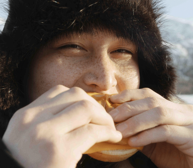 McFish está de volta