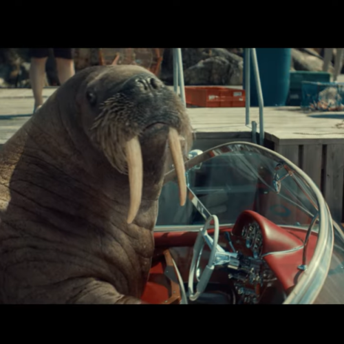 Campanha foi desenvolvida pela VCCP