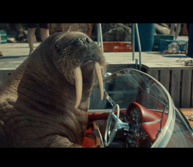 Campanha foi desenvolvida pela VCCP