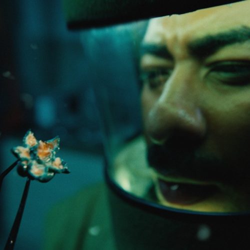 Yoki lança pipoca inspirada em Stranger Things